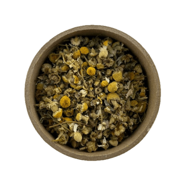 Roman Chamomile Flowers - Chamaemelum nobile