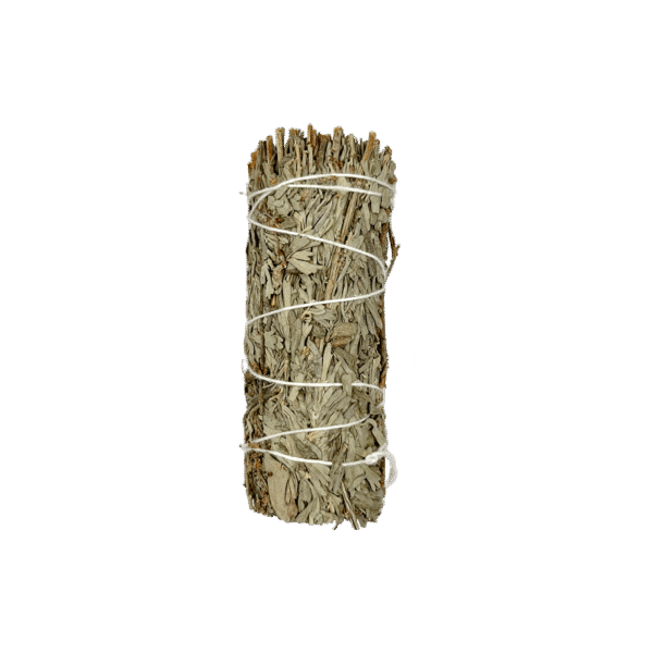 A single hand-tied Blue Sage Smudge Stick bundle, sun-dried and wrapped in white twine, featuring light green and silvery leaves.