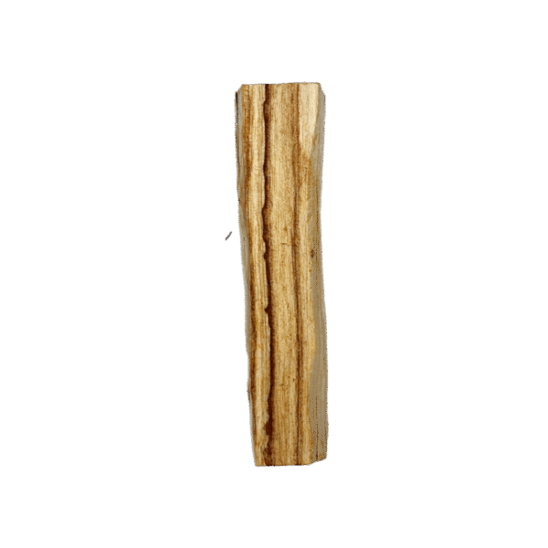 Palo Santo Smudge Stick on a white background