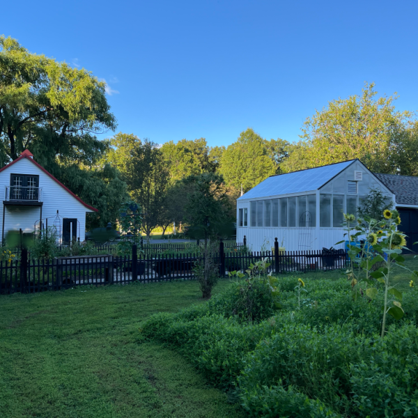 Greenhouse: Our research greenhouse and gardens at Little Flower Farm.