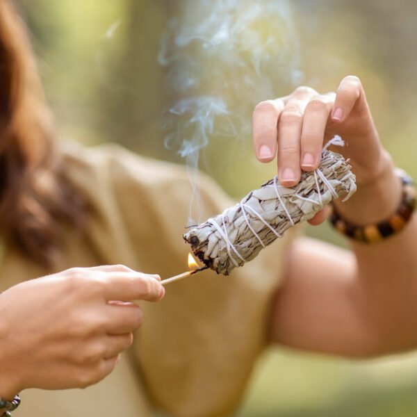 Home White Sage smudge stick bundle