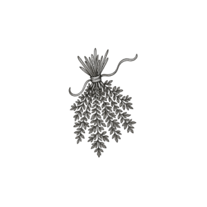 Engraved bundle of dried herbs and botanicals