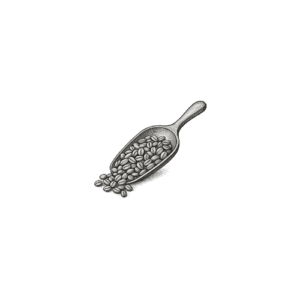 Engraved botanical scoop filled with seeds or herbs